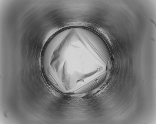 X0000096131328200802081316