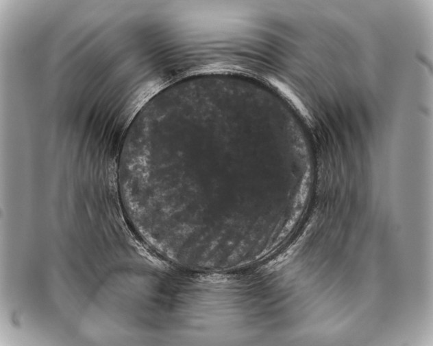 X0000096131329200802081316