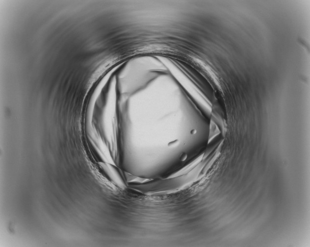 X0000096131330200802081316