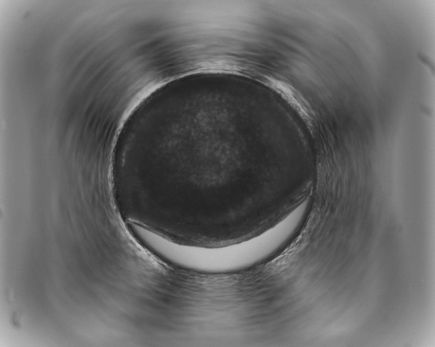 X0000096131331200802081316