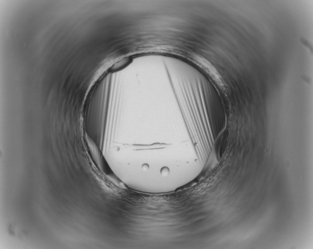 X0000096131332200802081316