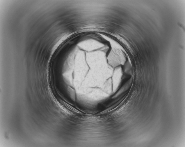 X0000096131333200802081316