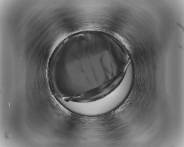 X0000096131334200802081316