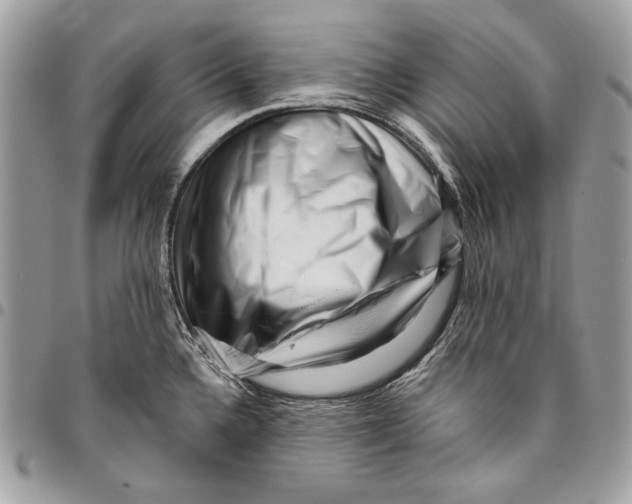 X0000096131336200802081316