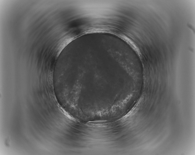 X0000096131337200802081316