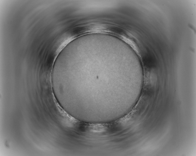 X0000096131338200802081316