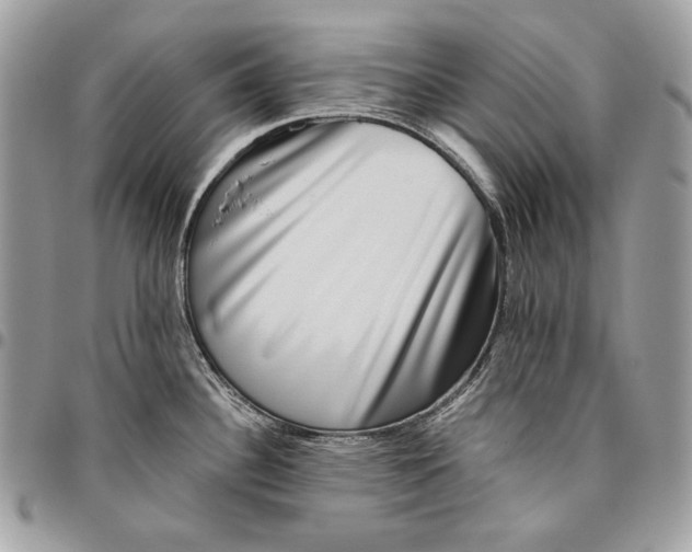 X0000096131340200802081317
