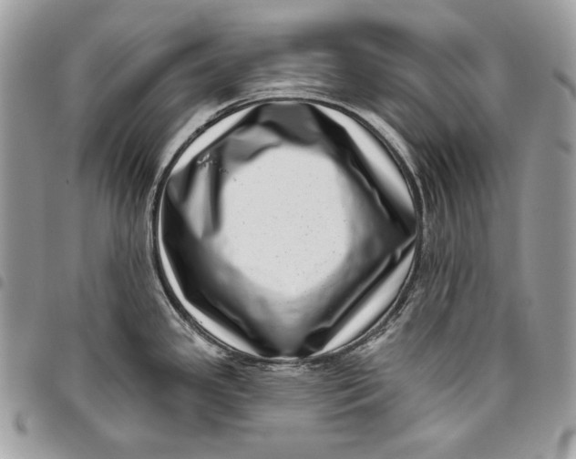 X0000096131341200802081317