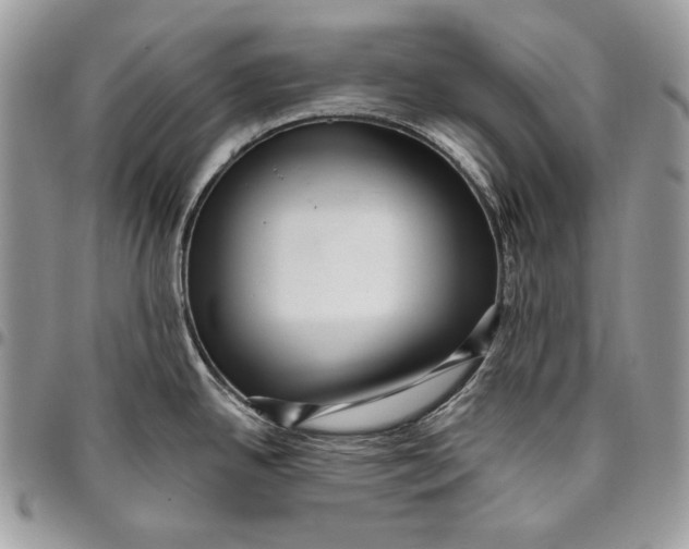 X0000096131342200802081317