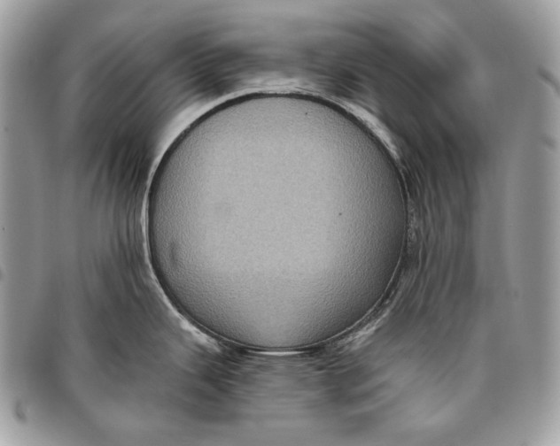 X0000096131343200802081317