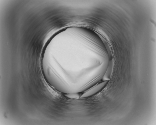 X0000096131344200802081317