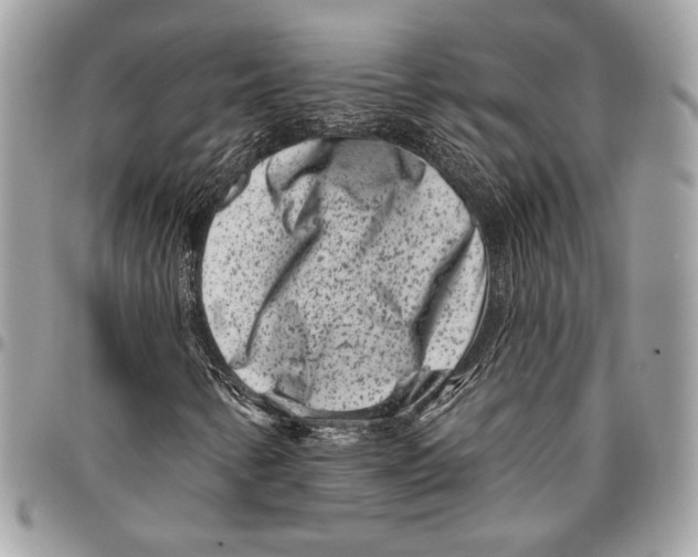 X0000096131346200802081316