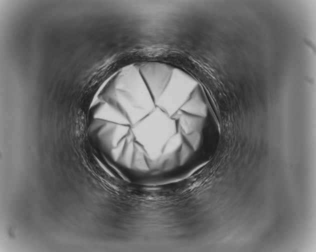 X0000096131349200802081316