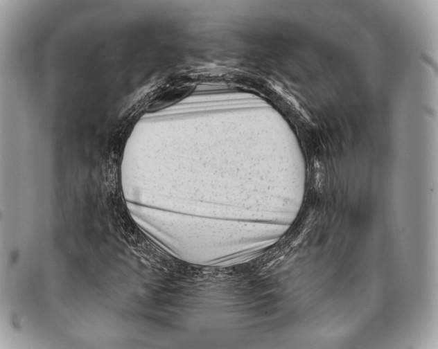 X0000096131350200802081316