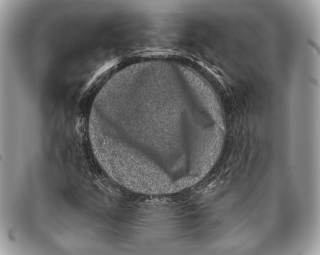 X0000096131351200802081316