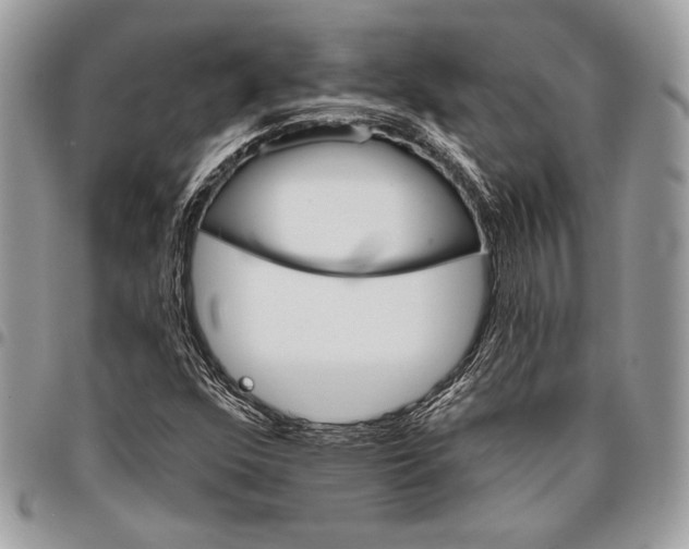 X0000096131352200802081316
