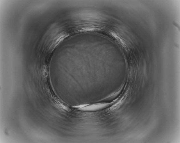 X0000096131353200802081316