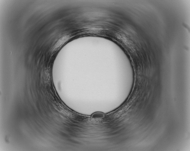 X0000096131354200802081316