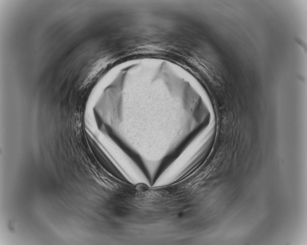 X0000096131355200802081316