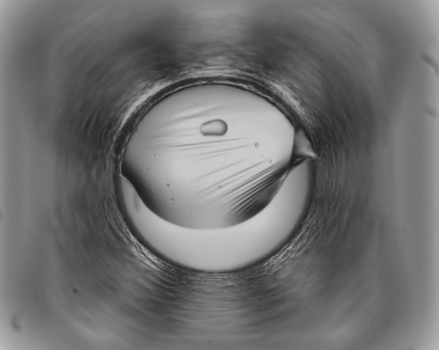 X0000096131356200802081316