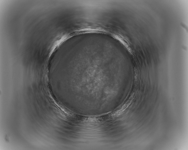 X0000096131357200802081316