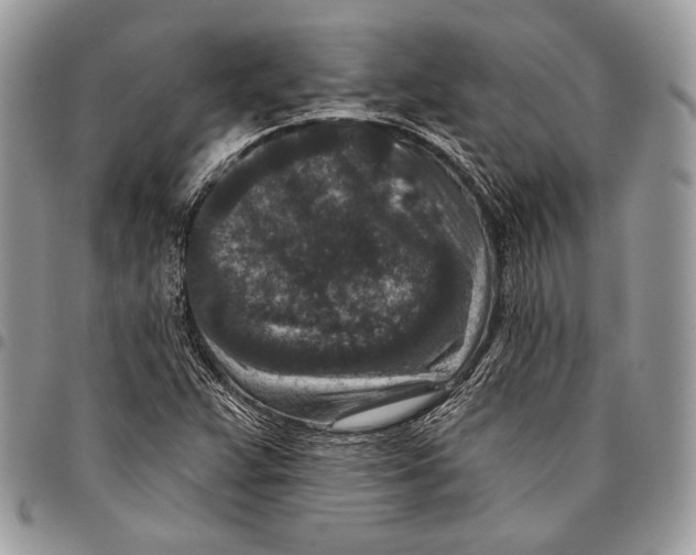X0000096131359200802081316