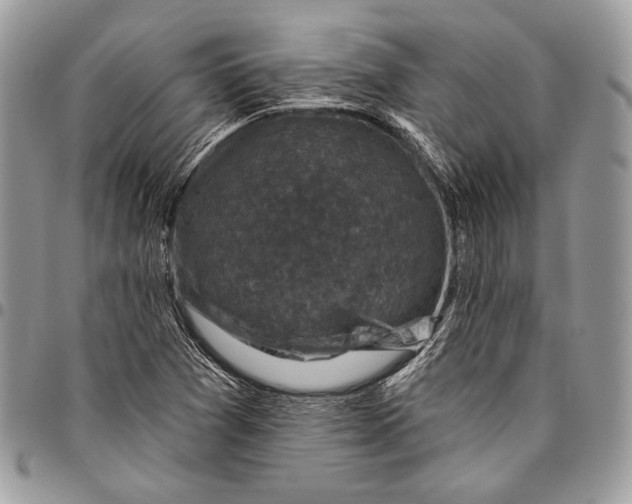 X0000096131361200802081316