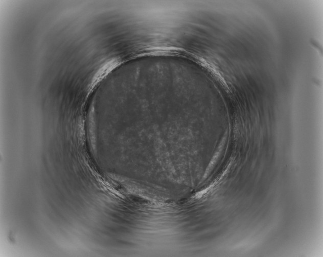 X0000096131362200802081316