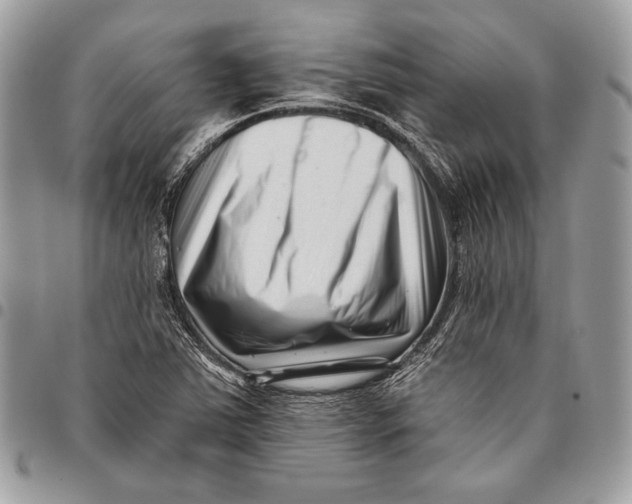 X0000096131363200802081316