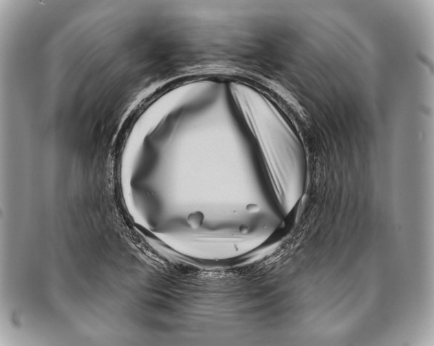 X0000096131364200802081316
