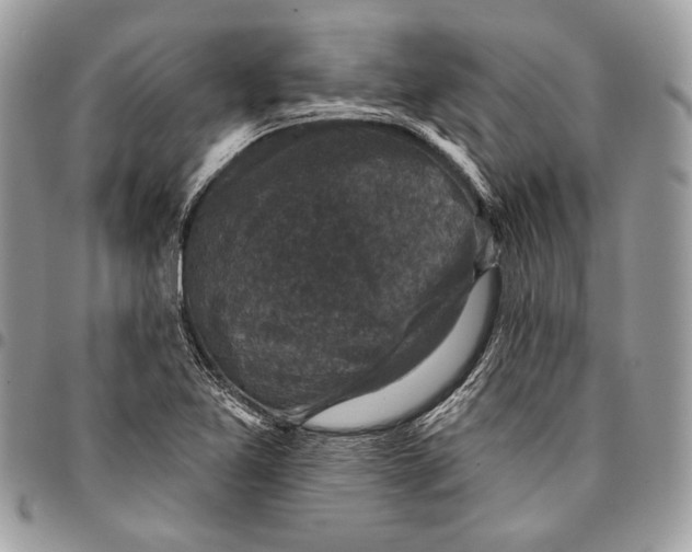 X0000096131365200802081316