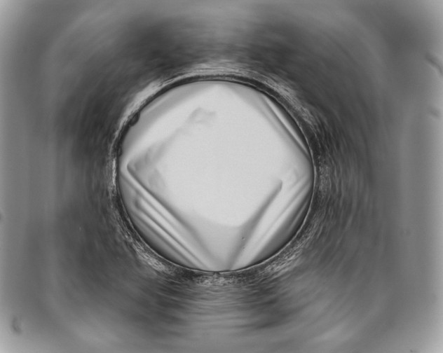 X0000096131366200802081316
