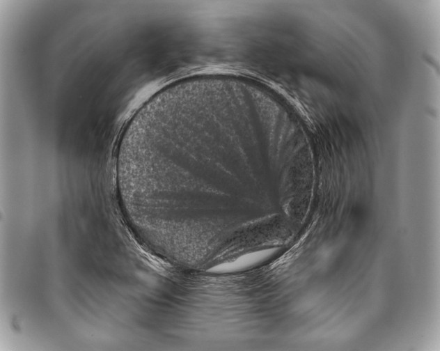 X0000096131367200802081316