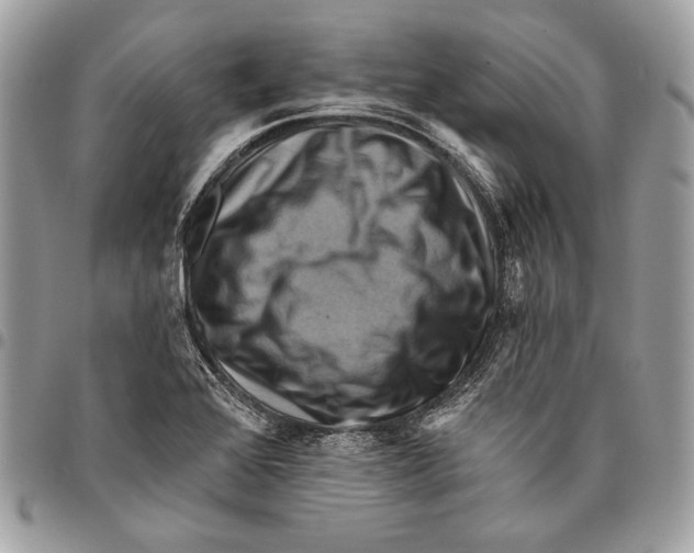 X0000096131368200802081316