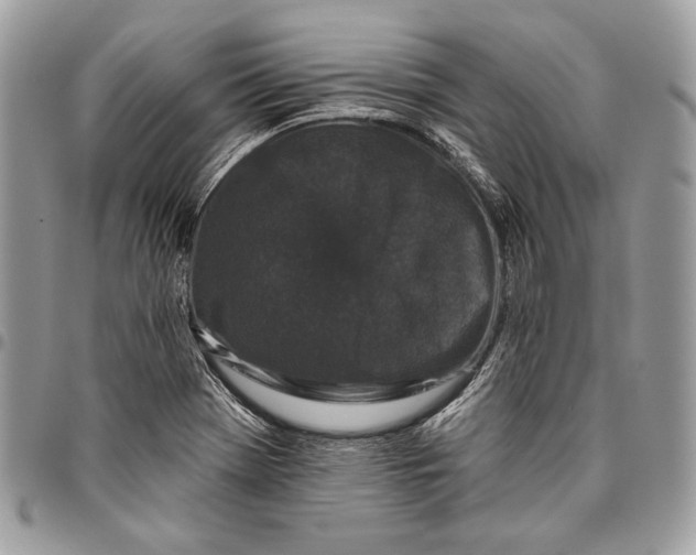 X0000096131369200802081316