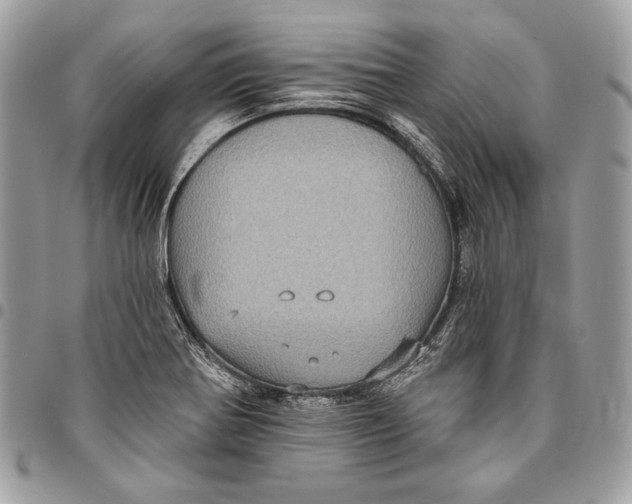 X0000096131370200802081316