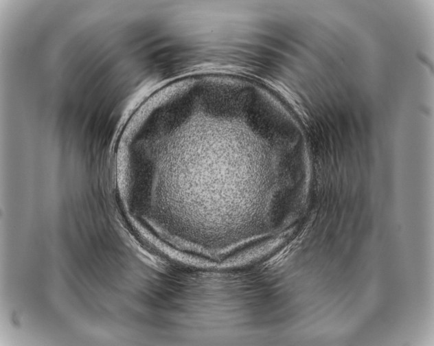 X0000096131371200802081316