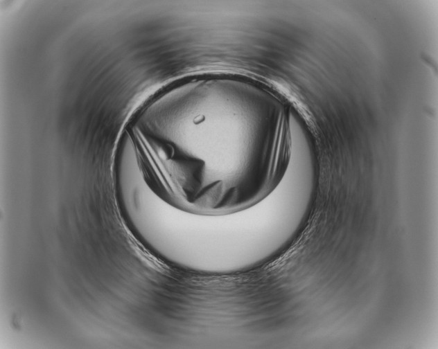 X0000096131372200802081316