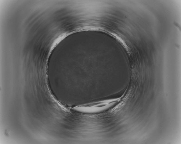 X0000096131373200802081316
