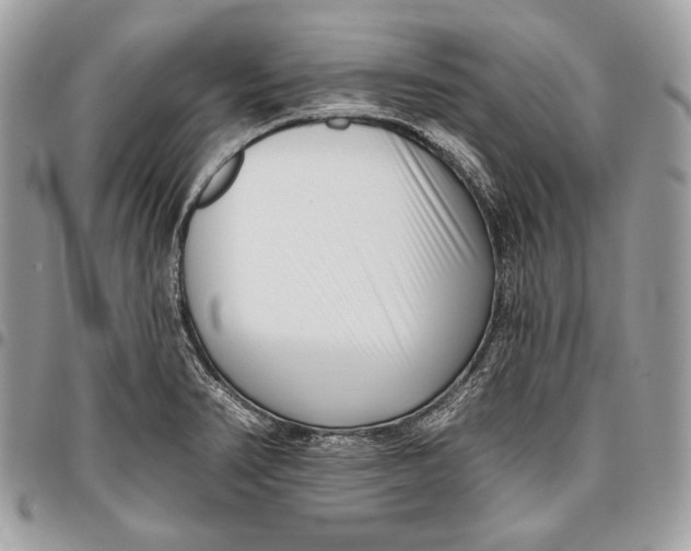 X0000096131374200802081316
