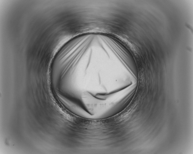 X0000096131375200802081316