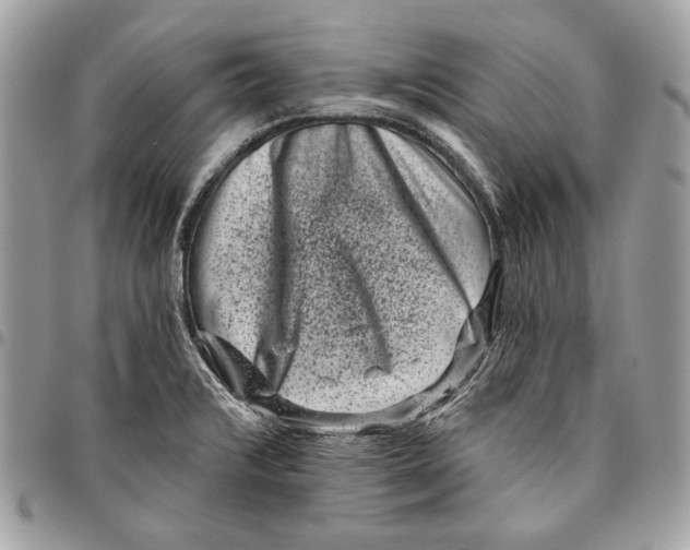 X0000096131376200802081315