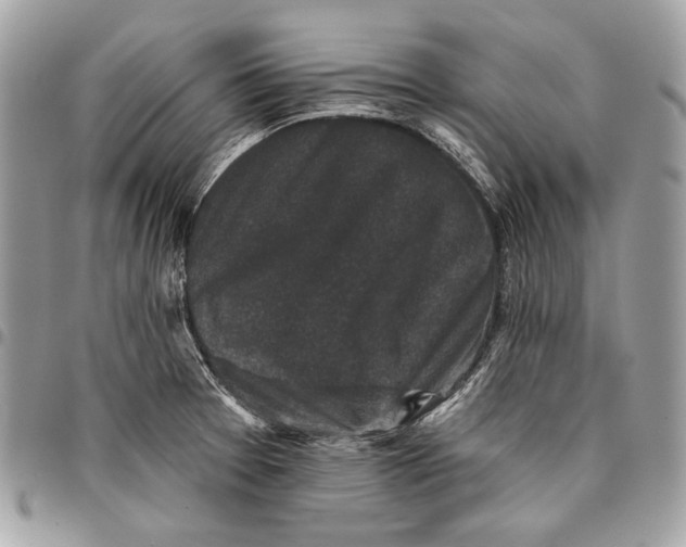 X0000096131377200802081315