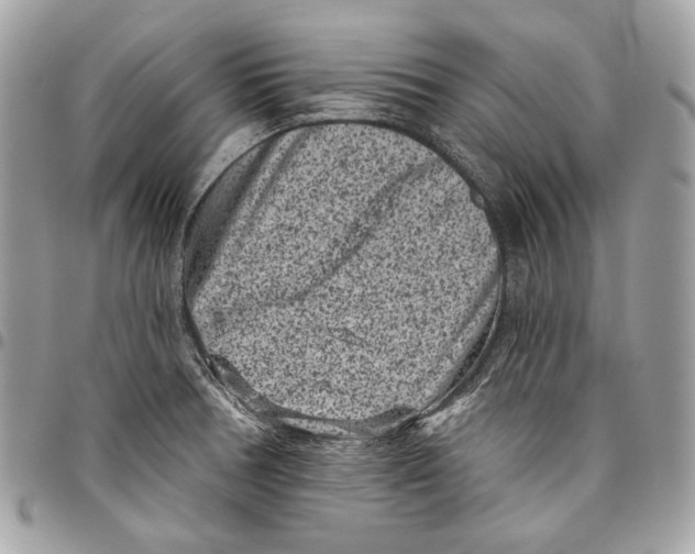 X0000096131378200802081315