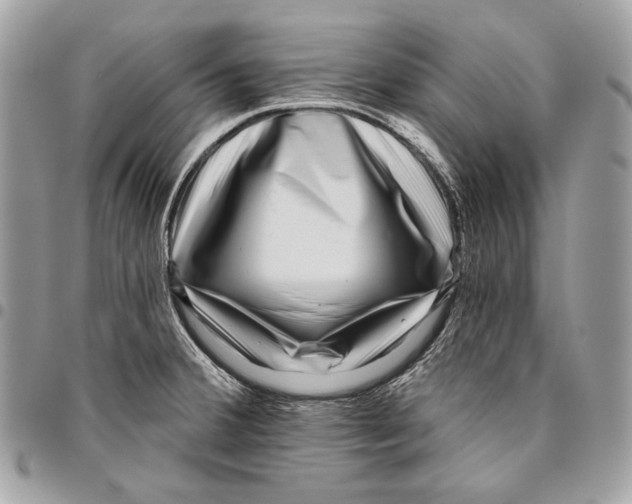X0000096131380200802081315