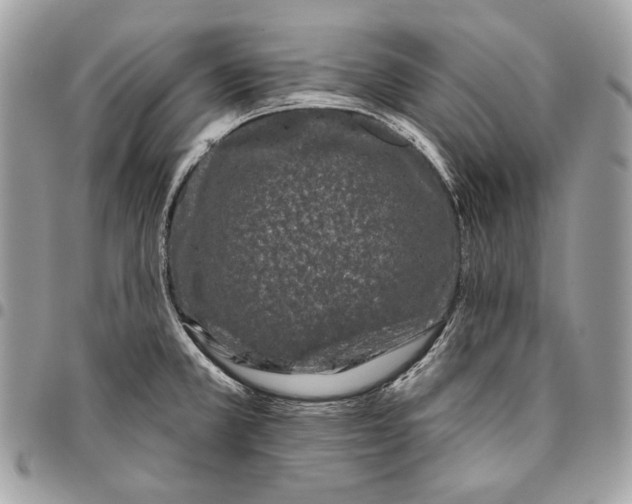 X0000096131381200802081315