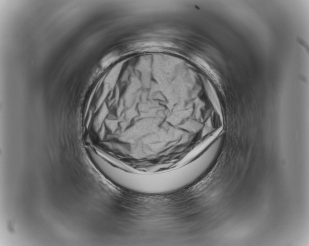X0000096131384200802081315