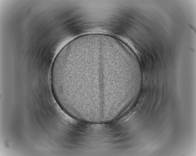 X0000096131387200802081315