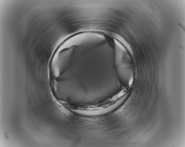 X0000096131388200802081315