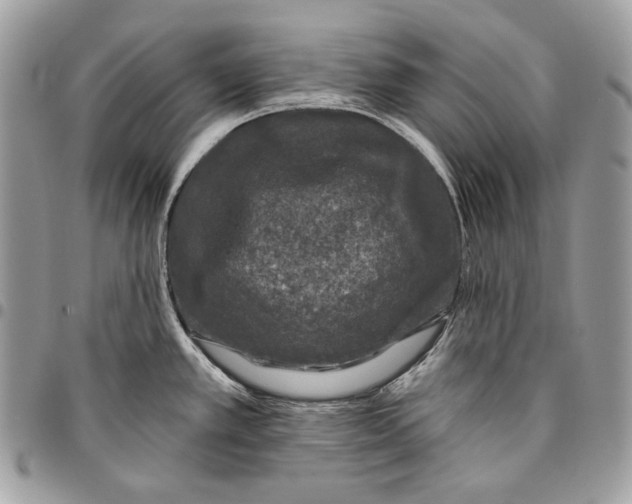 X0000096131389200802081315